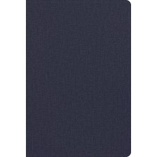 (外文書)CSB Men's Daily Bible Blue Leathertouch Imitation Leather, Holman Bible Publishers, English