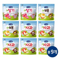 일동후디스 아이얌 동결건조 순과일칩 9개 혼합 (순딸기2 + 순사과5 + 순배2), 15g, 1개