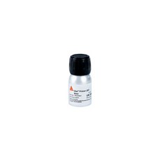 씨카플렉스 실리콘 프라이머 207 30ml, 1개