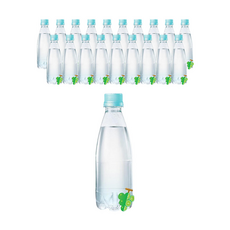 더 빅토리아 탄산수 청포도 무라벨, 20개, 350ml