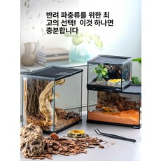 파충류 투명 테라리움 도마뱀 곤충 사육장 서식 케이지 키트, 20x20x30cm, 1개, 기본 색상