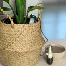 아트박스/와인앤쿡 원예식물 자동급수기 2p 1세트, 단품없음