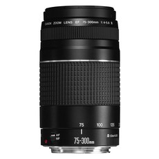 Canon EF 렌즈 EF75-300mm F4-5.6 III 줌 렌즈 망원 병행 수입품 블랙