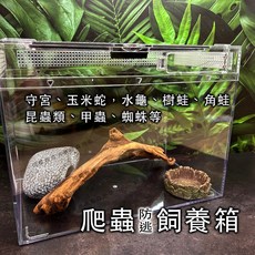 【閃電聯盟】爬蟲先生 壓克力 兩棲飼養箱 爬蟲飼養箱 角蛙缸 寵物飼育箱 爬蟲盒 甲蟲箱 寵物鼠 爬蟲箱 陸龜 守宮 蛇, 1個, 40x20x25公分（只能宅配）