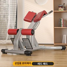 기립근 머신 백익스텐션 블랙 허리운동기구 강화, B. 레드, 기본 모델명/품번
