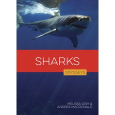 (영문도서)Sharks Library Binding, Creative Education, English, 9798895811498
