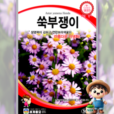 남흥원예사 쑥부쟁이 500립 원예 관상 조경 화단 용 꽃 씨 씨앗 종자 세계종묘, 1개