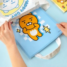 서류분리정리 2포켓 화일 라이언 100개