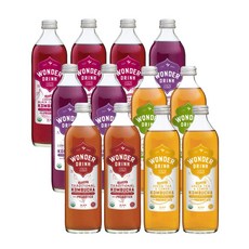Low 칼로리 프리바이오틱스 유기농 탄산수 원더드링크 콤부차 414ml, 1세트