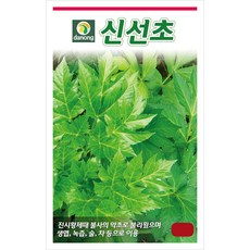[주주씨앗] 신선초 씨앗 1g / 생엽 녹즙 차로 쓰이는 약초 민속채소 씨앗 / 봄 가을 파종 채소씨 씨앗몰, 1개