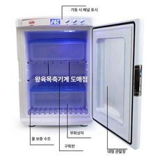 우테크샵 도마뱀알부화기 뱀 파충류 알 반려동물, 단일 항목