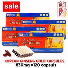 동보내츄럴 6년근 홍삼캡슐 120캡슐 *4캔 [480캡슐] 6년홍삼캡슐 홍삼캡슐 4시이전 결제시 당일발송, 4개, 120정