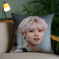 박지훈 베개 케이스 먼지 방지 커버 보 않는 지퍼 부드러운 짧은 플러시 소파 쿠션