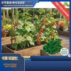 식물 덩굴 지지대 그린 정원용 사각형 과일 채소 지지망, 등반용 그물망 그린 18 줄, 1개, 그린 0.9x1.8m 표준