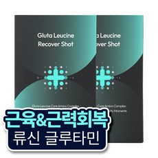 히이즈 글루타 류신 리커버샷 근육회복, 2개, 280g