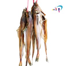새우몰 명태코다리 4마리 반건조 냉동, 1개, 1.6kg내외