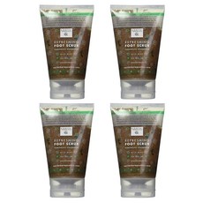 어스테라퓨틱스 리프레싱 풋 스크럽 와일드 민트 118ml, 4개, 1개