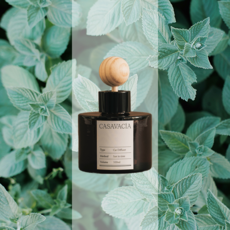 카사바시아 백화점 차량용 방향제 디퓨저 차량 카, 1개, 더티