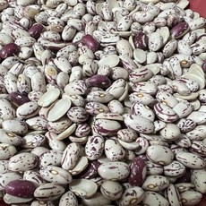 2025년산 미국산 매화콩 2kg 호랑이콩 매화강낭콩, 1개