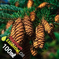 J017 파인니들 100ml (Pine Needle Essential Oil) 천연에센셜 오일 원액 아로마, 1개