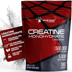 WELLNESS LABSRX 크레아틴 모노하이드레이트 파우더 500g - 100회 분량 미립자 보충제 여성 및 남성용 무향 크레아틴 근력 에너지 지구력 운동 232396, 1개