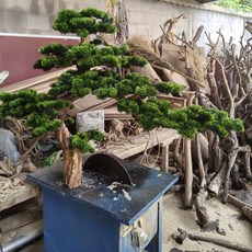 가짜 소나무 인조나무 조화 대형 정원 인테리어 조경 공간 분재 인조, 1개, 3. 1.2m 높이x1.5m 가로