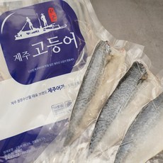 제주창해수산 산지직송! 제주 등푸른 고등어 120g이상, 소 (100-120g 10개 1kg 실링), 1세트