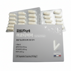 프랑스 강아지 관절 영양제, 1개, 30정