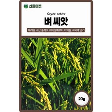 아람종묘 벼 씨앗 20g 국산 재래종 벼씨 곡물 종자, 1개