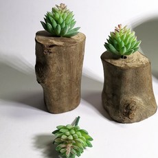 仿真多肉植物原木擺件, P18仿真多肉+木頭底座(隨機), 1套