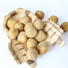 사시사철 맛좋은 우리땅 햇 감자(중) 5kg, 1개