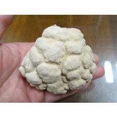 能量礦石 腦舍利 364公克 7.4公分 寮國洞穴古代嘛呢石 泰國宗教礦物, 1個