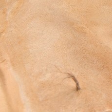 AK Terrains Sandy Desert Acrylic Diorama 250ml, 1個