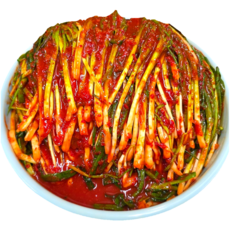 전라도식 파김치 1kg-5kg 실비 알싸하고 매콤한 맛 가정식 쪽파김치, 2kg, 1개