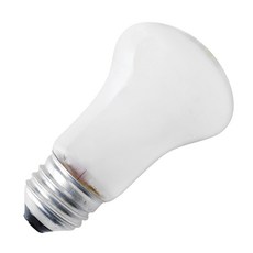 일광 크립톤 백열전구 60W E26 불투명 센서등용 램프 소프트톤, 1개, 전구색
