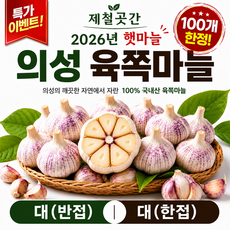26년 국내산 의성 육쪽 햇마늘 통마늘 대 (반접 한접), 1개, 대 (반접)