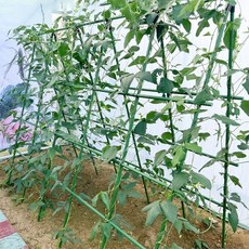 식물 그물망 유도망 넝쿨 네트 원예 오이 호박 텃밭 식물그물망 줄기망 원예넝클망, 없음, 1개