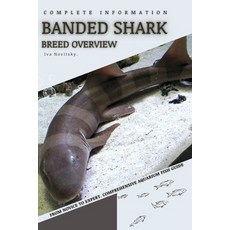 (영문도서) Banded Shark: From Novice to Expert. Comprehensive Aquarium Fish Guide Paperback, Independently Published, English, 9798398664096