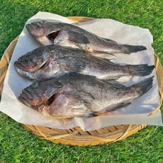 자연산 손질 반건조 우럭 3마리 할복 우럭 반건조 생선