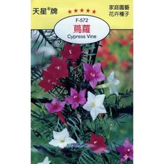天星牌 蔦蘿 Cypress Vine 種子 - 野菜部屋 Y50, 1包