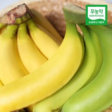 [산지직송] 제주 김순일님의 무농약 바나나 1.5kg/2.5kg/5kg, 1.5kg, 1개