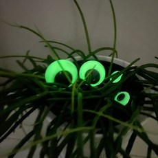 수예용품 야광 눈알 부자재 30mm 접착 인형용 2개입