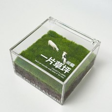 자연력 미니 이끼 테라리움 키트 탁상용 간편 관리, 소와 말 (10x10x6cm)