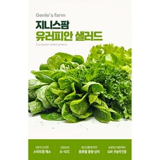 지니스팜 무농약 GAP인증 유럽형 샐러드 쌈채소 1kg 인도어팜 수경재배, 1개