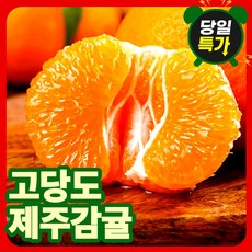 [오늘특가] 제주 감귤 제주도 귤 고당도 귤 15브릭스, 1박스, 3kg