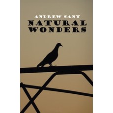 (영문도서) Natural Wonders Paperback, Puncher & Wattmann, English, 9781923099678