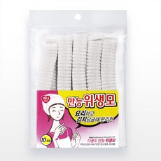 하니 다용도 만능위생모 10개입, 1세트