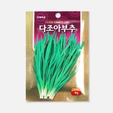 가꾸기 채소 부추 상추키우기 4g 모종 씨앗 텃밭 1(개) 4821 PCS
