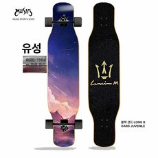 성인 청소년 전문 슬라이드 보드 스케이트보드, 1개, 미티어