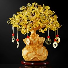 블체 황금돈나무 금전수 재물운 돈들어오는 집들이 개업선물 재물나무 회전트레이 포함, 황금돈나무 회전트레이 황금엽전 6매